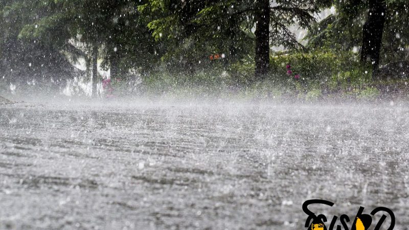 අදත් සමහර ප්‍රදේශවලට වැසි හෝ ගිගුරුම් සහිත වැසි ඇතිවිය හැකි – කාලගුණ විද්‍යා දෙපාර්තමේන්තුව